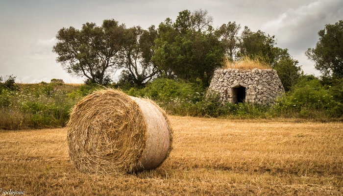 Family tour  in Salento 