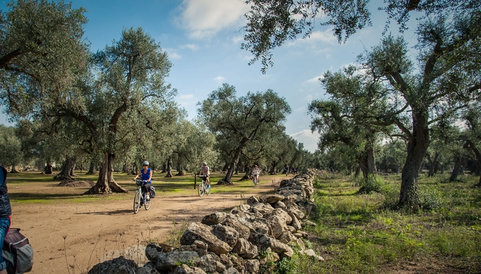 Family tour  in Salento 